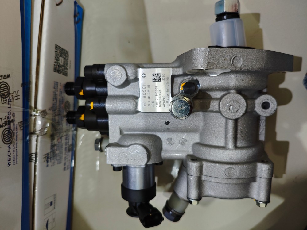 Weichai Fuel Pump 1002617091